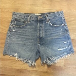 Agolde Parker Long Shorts